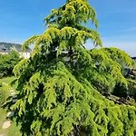 Сasa de vacaciones Maison Saint Léonard